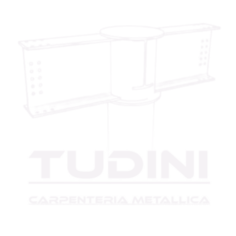 Logo_tudini_negativo